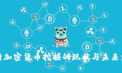 伊朗加密货币挖掘的现状与未来发展