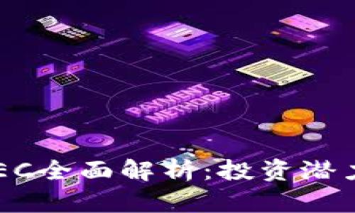 加密货币GEEC全面解析：投资潜力与市场前景