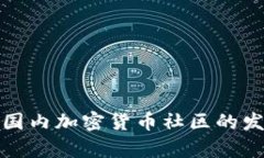 深入探析国内加密货币社