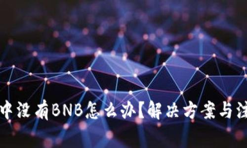 TP钱包中没有BNB怎么办？解决方案与注意事项
