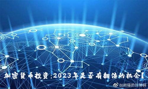 加密货币投资：2023年是否有翻倍的机会？