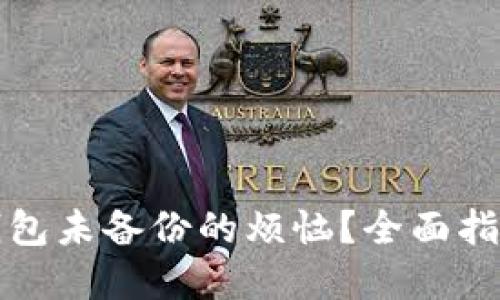 如何解决TP钱包未备份的烦恼？全面指南与解决方案