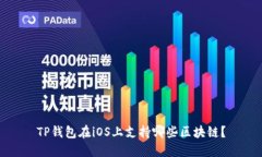 TP钱包在iOS上支持哪些区块