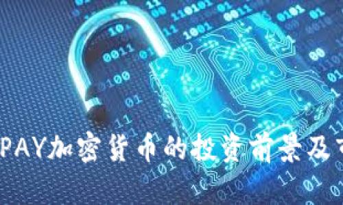 2023年PAY加密货币的投资前景及市场动态