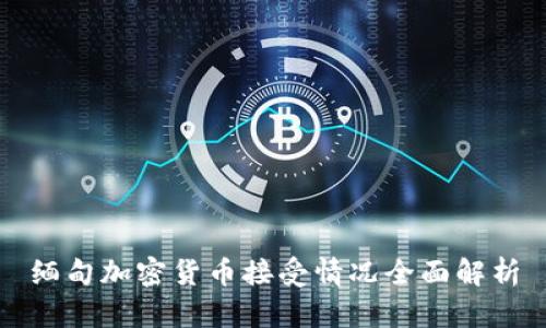 缅甸加密货币接受情况全面解析