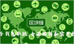 电子钱包取现：全面解析