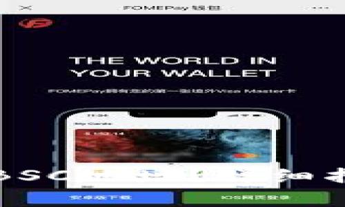 如何找到TP钱包的BSC地址？详细指南与常见问题解答