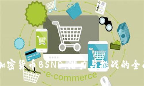 印度加密货币BSND：潜力与挑战的全面分析