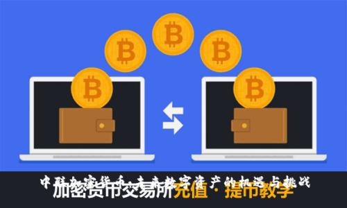 中联加密货币：未来数字资产的机遇与挑战