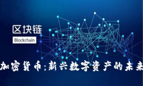 苏瓦加密货币：新兴数字资产的未来趋势