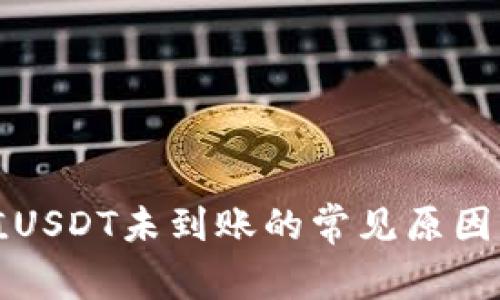 TP钱包充值USDT未到账的常见原因及解决方法