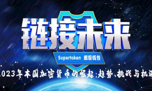 2023年本国加密货币的崛起：趋势、挑战与机遇