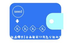 TP钱包公链在哪里？全面解