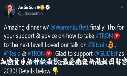 揭开加密货币的神秘面纱：最受欢迎的猜谜图解密指南