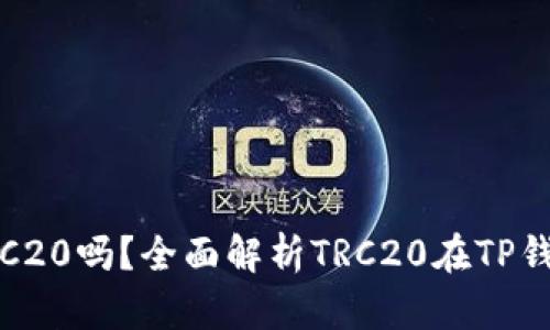 TP钱包支持TRC20吗？全面解析TRC20在TP钱包的使用情况