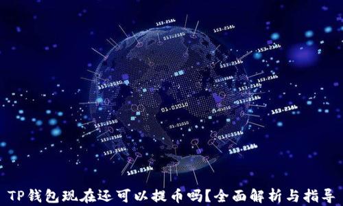 
TP钱包现在还可以提币吗？全面解析与指导