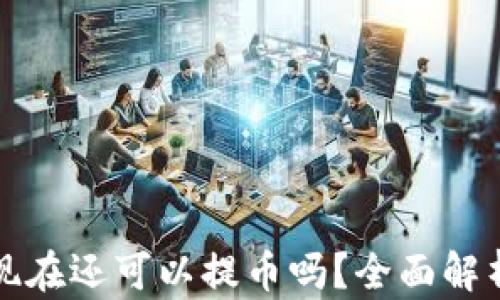 
TP钱包现在还可以提币吗？全面解析与指导