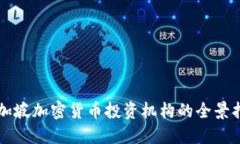 新加坡加密货币投资机构