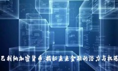 巴利纳加密货币：揭秘未