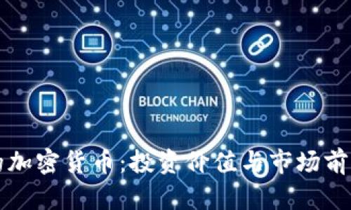 稀缺的加密货币：投资价值与市场前景分析