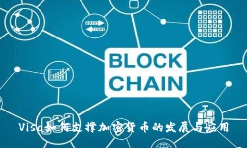 Visa如何支撑加密货币的发展与应用