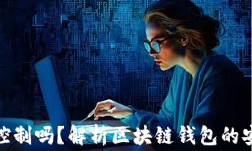 
TP钱包能被警方控制吗？解析区块链钱包的安全性与法律风险