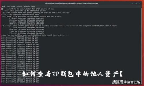 如何查看TP钱包中的他人资产？