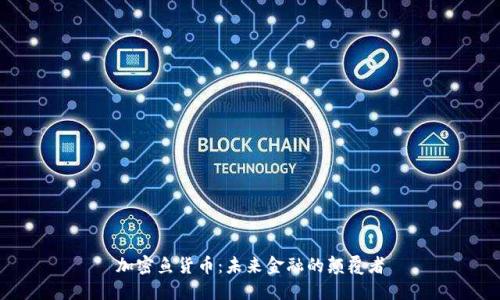 加密鱼货币：未来金融的颠覆者