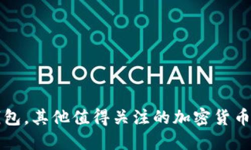 除了TP钱包，其他值得关注的加密货币钱包选择
