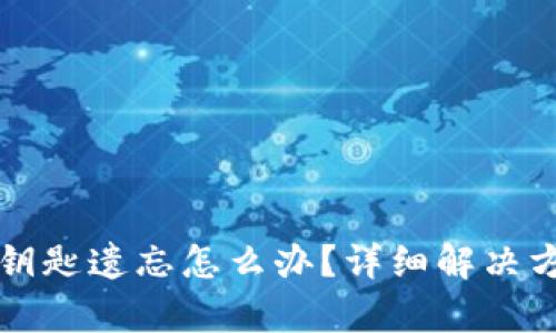 TP钱包钥匙遗忘怎么办？详细解决方案解析