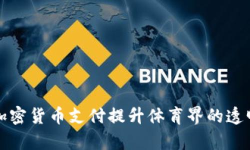 如何通过加密货币支付提升体育界的透明度与效率