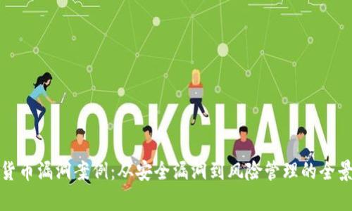 加密货币漏洞案例：从安全漏洞到风险管理的全景分析