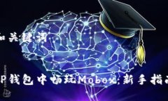 思考的和关键词如何在T