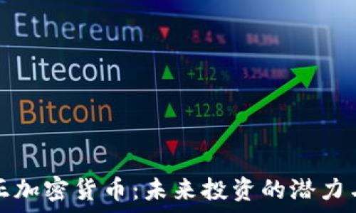  
印尼李文正加密货币：未来投资的潜力与风险分析