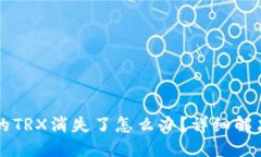 优质TP钱包中的TRX消失了怎