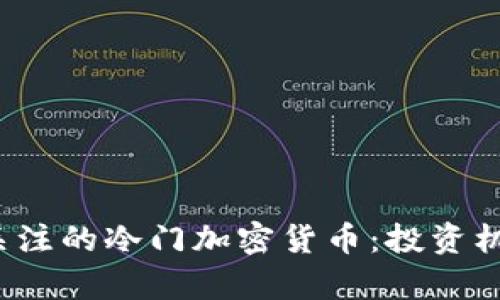 2023年值得关注的冷门加密货币：投资机会与风险分析