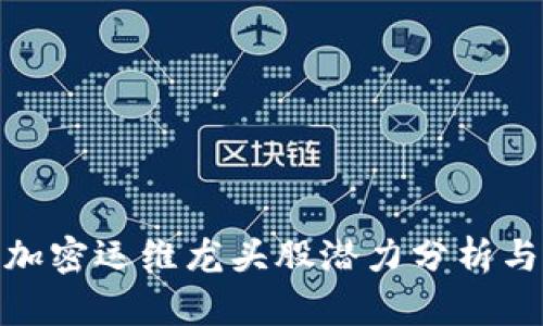 数字货币加密运维龙头股潜力分析与投资策略