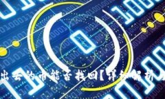 TP钱包转出去的币能否找回