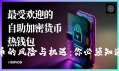 加密货币的风险与机遇：