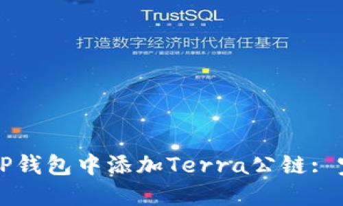 如何在TP钱包中添加Terra公链: 完整指南