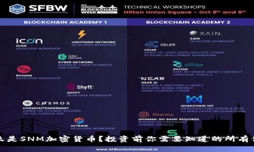 什么是SNM加密货币？投资前你需要知道的所有信息