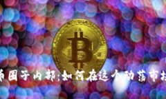 揭秘加密货币圈子内部：