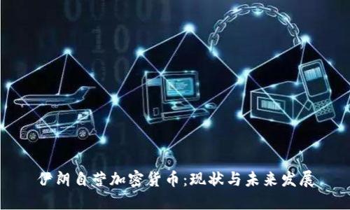 伊朗自营加密货币：现状与未来发展