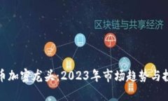 数字货币加密龙头：2023年