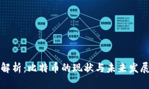 深入解析：比特币的现状与未来发展趋势