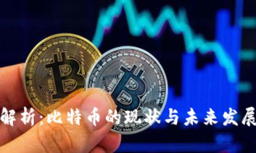 深入解析：比特币的现状与未来发展趋势