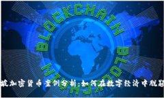 新加坡加密货币案例分析