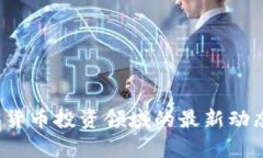Visa 在加密货币投资领域的