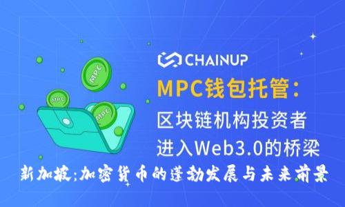 新加坡：加密货币的蓬勃发展与未来前景