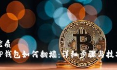 优质TP钱包如何翻墙：详细
